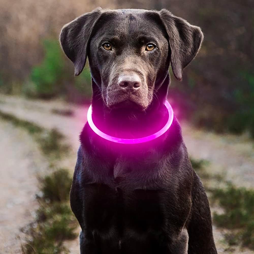 LED Light-Up Dog Collar - USB Rechargeable - Dog Accessories - TailWag Supply Co.