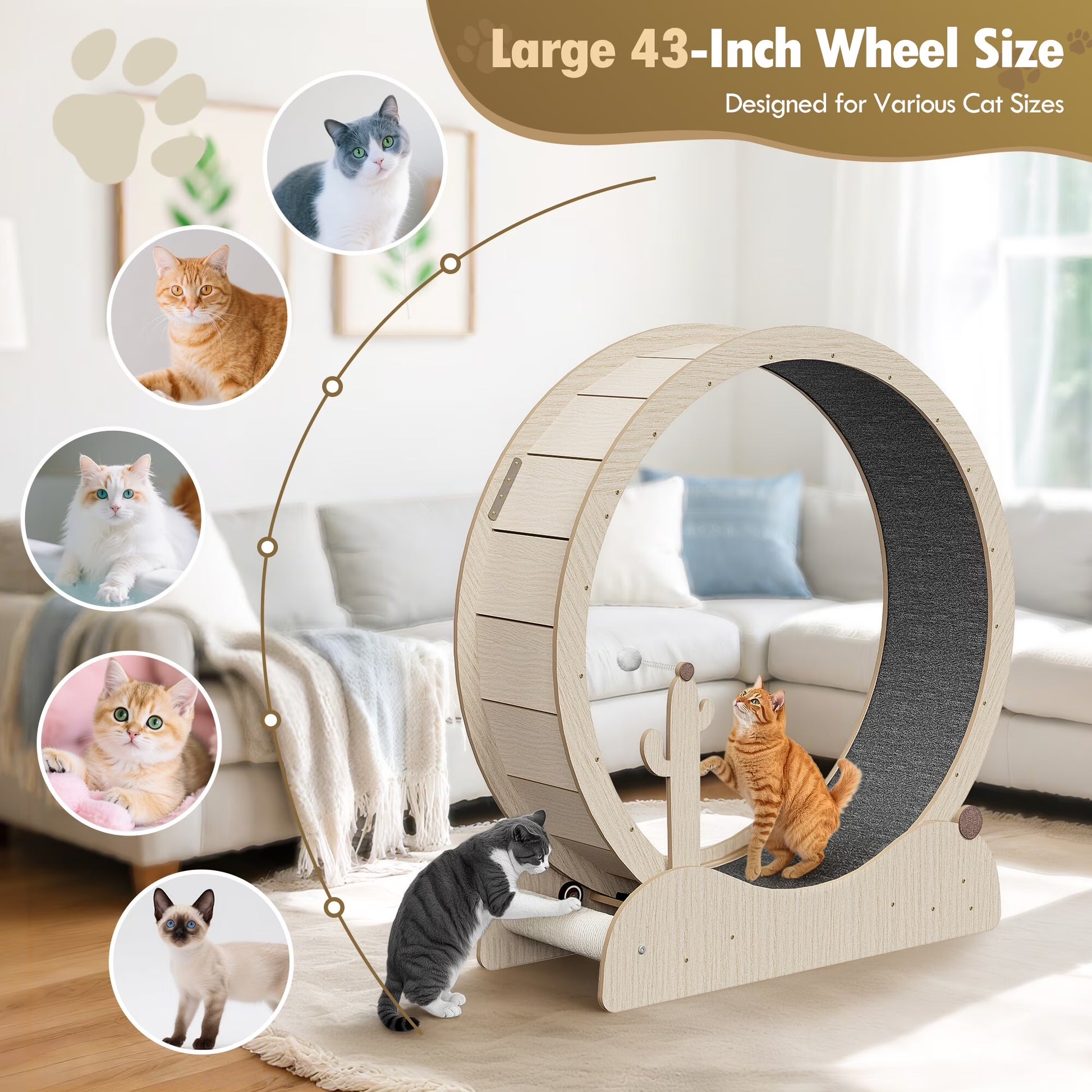 Indoor Cat Exercise Wheel 43-In Cat Running Wheel Safety Treadmill W/Carpeted Runway, Teaser Wand, Scratching Post, Natural