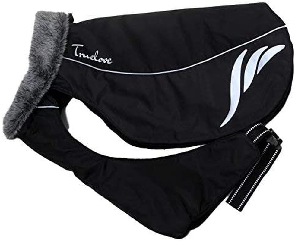 Mt. Tallac Winter Dog Coat - Technical Jacket Is, Black, Size 22" - 55Cm