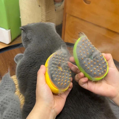 Petsteambrushc Petsteambrushc